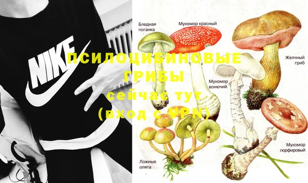 экстази Балахна